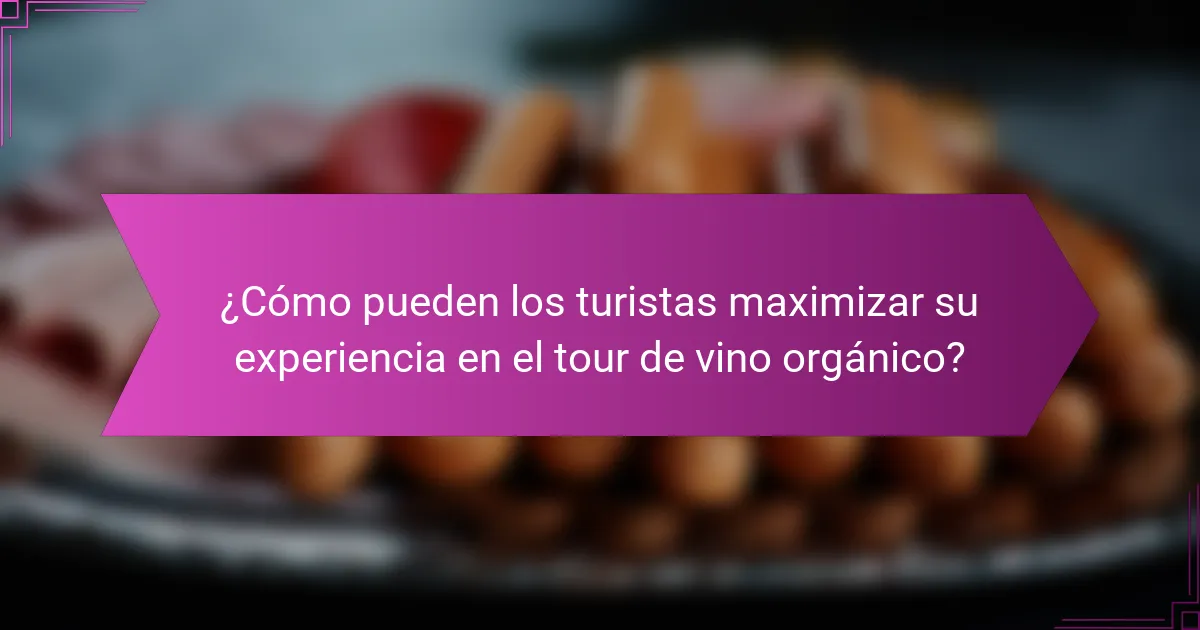 ¿Cómo pueden los turistas maximizar su experiencia en el tour de vino orgánico?