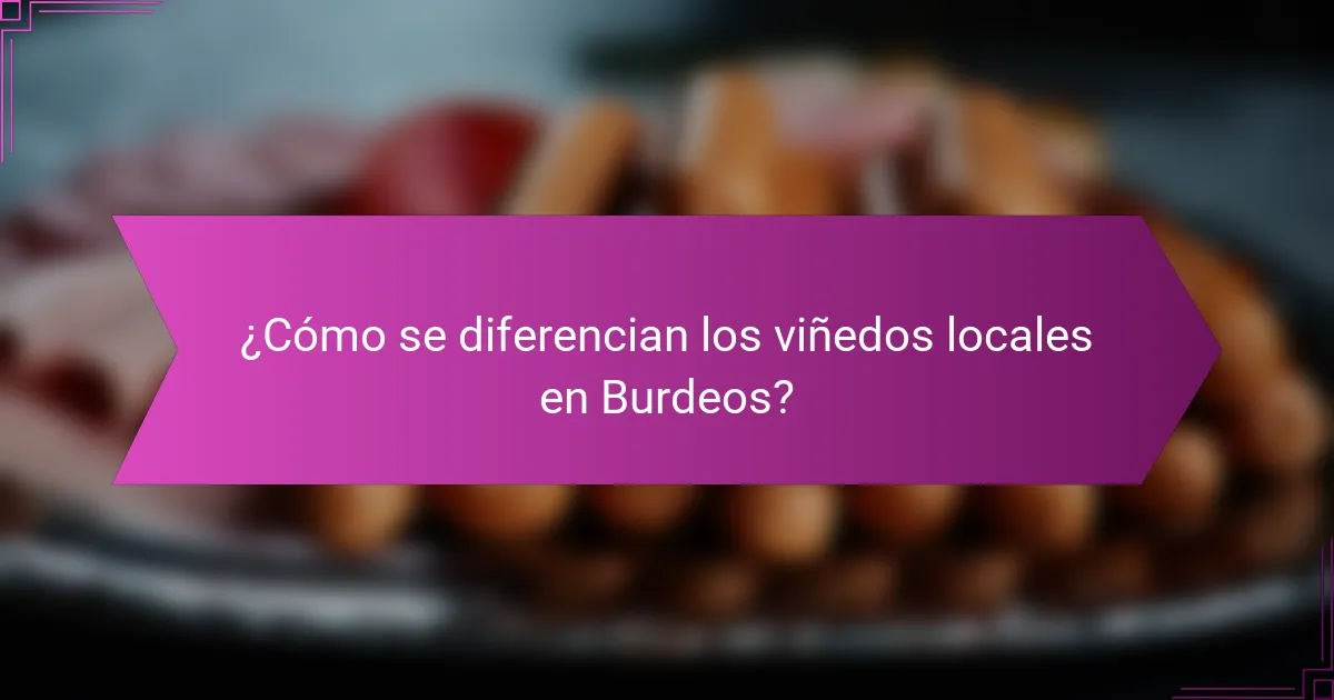 ¿Cómo se diferencian los viñedos locales en Burdeos?