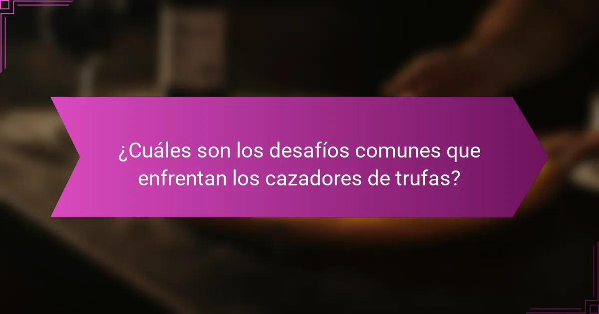 ¿Cuáles son los desafíos comunes que enfrentan los cazadores de trufas?