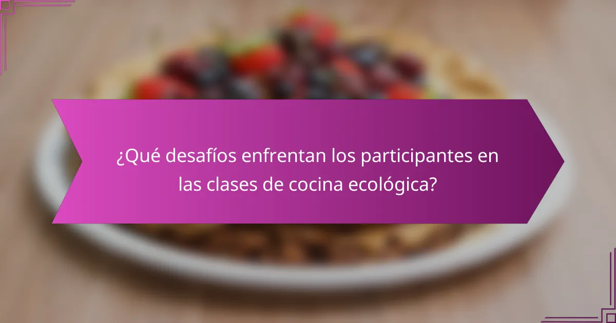 ¿Qué desafíos enfrentan los participantes en las clases de cocina ecológica?